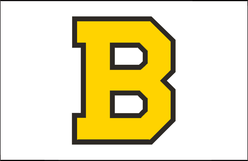 Boston Bruins 1940-1948 Jersey Logo iron on heat transfer